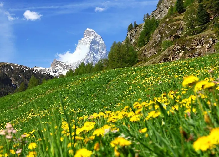 Appartement Sungold-1 By Interhome Zermatt